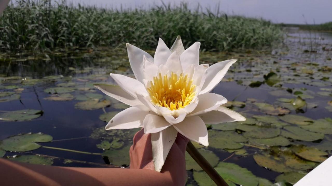 Delta Mayanka Mineri Zewnętrze zdjęcie